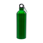 Obrázek Láhev 800 ml z nerez oceli s karabinou, zelená