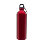 Obrázek Láhev 800 ml z nerez oceli s karabinou, červená