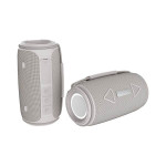 Obrázek Voděodolný reproduktor IPX4 16W RCS, šedý