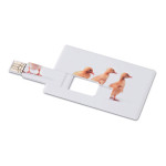 Obrázek USB paměť ve tvaru kreditní karty 4 GB