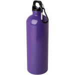 Obrázek Nerezová láhev 750ml s karabinou, fialová