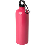 Obrázek Nerezová láhev 750ml s karabinou, růžová