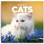 Obrázek Poznámkový kalendář Kočky