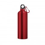 Obrázek  Hliníková sportovní láhev s karabinou 750 ml - červená