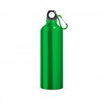 Obrázek  Hliníková sportovní láhev s karabinou 750 ml - světle zelená