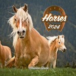 Obrázek Poznámkový kalendář Koně – Christiane Slawik
