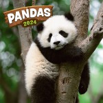 Obrázek Poznámkový kalendář Pandy