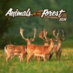 Obrázek Poznámkový kalendář Zvířátka z lesa