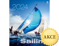 Obrázek Sailing