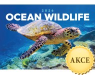 Obrázek Podmořský svět