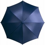 Obrázek Námořně modrý klasický deštník s dřevěnou rukojetí