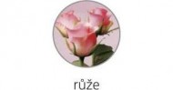 Obrázek Lepicí lístky 68x74mm, 50ks, růžové, vůně Růže
