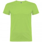 Obrázek Světle zelené pánské tričko Beagle S